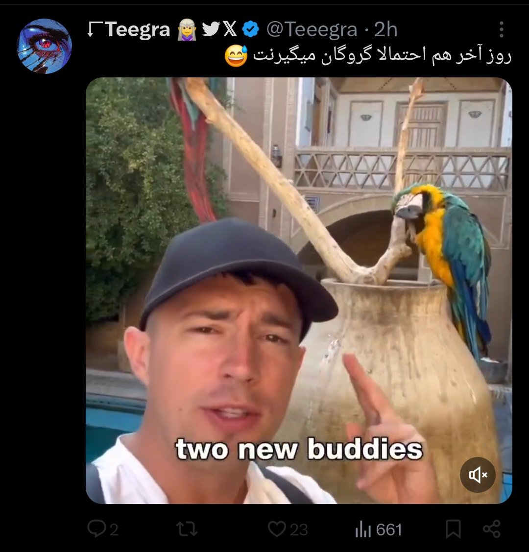 Sinatrasz's tweet photo. این بدبخت دگوری که به بیماری خود تحقیری مبتلاس فکر کرده اولین بار توریست امریکایی میاد ایران
حیف که بلاک کرده
به رژیم غذایت ادامه بده بدبخت دگوری
قربون ایرانم بری یه مشت غربتی توالت شور
@Teeegra https://t.co/12iiq9kCh2