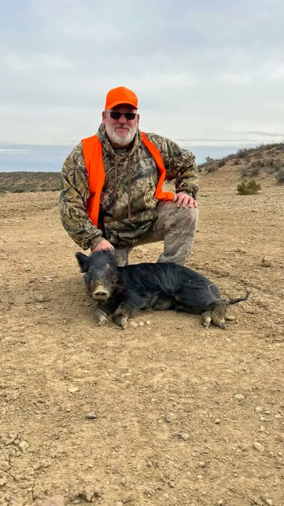 JimMarbaugh's tweet photo. Hog hunting in Texas https://t.co/UXUerar3J0