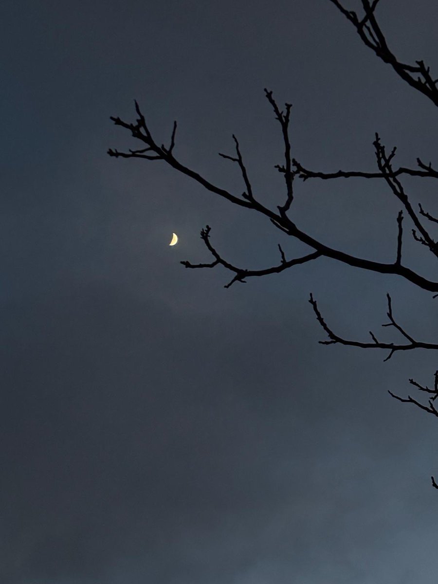 karanlık gecelerde, gizli halleri çok iyi bilen Rabbinin huzurunda diz çöktüğünde, çocukların ahlâkına bürün. zira çocuk bir şey isteyip de alamadığında, onu alana kadar ağlar. öyleyse sen de o çocuk gibi ol ve ihtiyâcını iste.