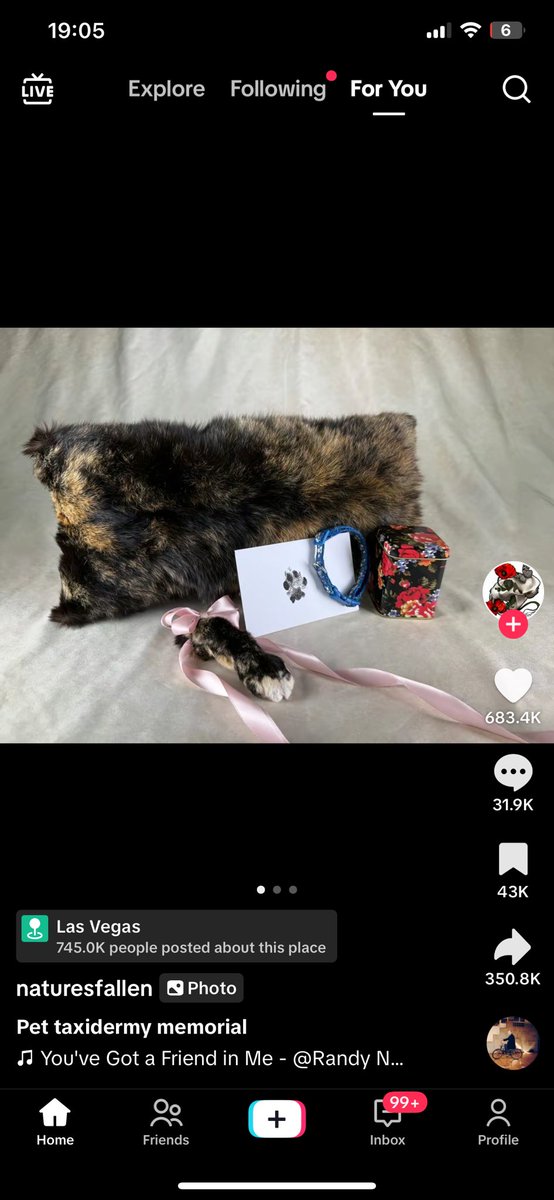 Yo entiendo lo de que cada uno lleva el duelo como puede pero lo de hacerse un cojín despellejando a tu gato muerto y cortarle una pata y llevarla en el bolso con un lazo en plan amuleto a mí me parece macabro. Imaginad a alguien llevando la mano amputada de su madre muerta