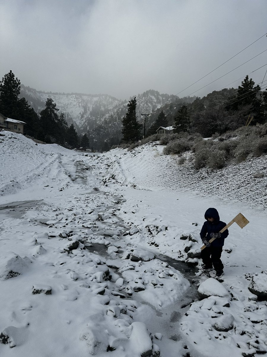 TransverseDream's tweet photo. Wrightwood winter vibes https://t.co/E9o6sOyZNo