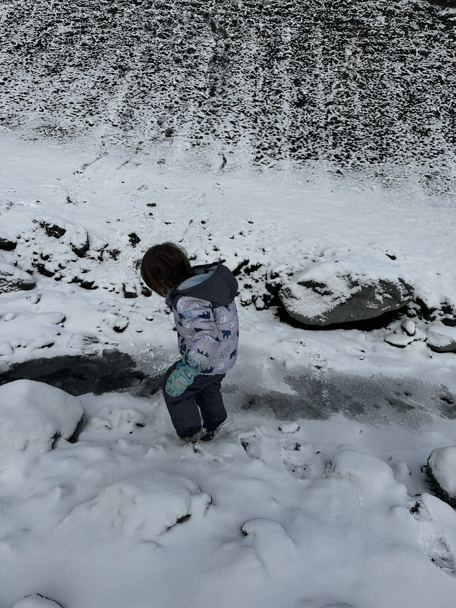 TransverseDream's tweet photo. Wrightwood winter vibes https://t.co/E9o6sOyZNo