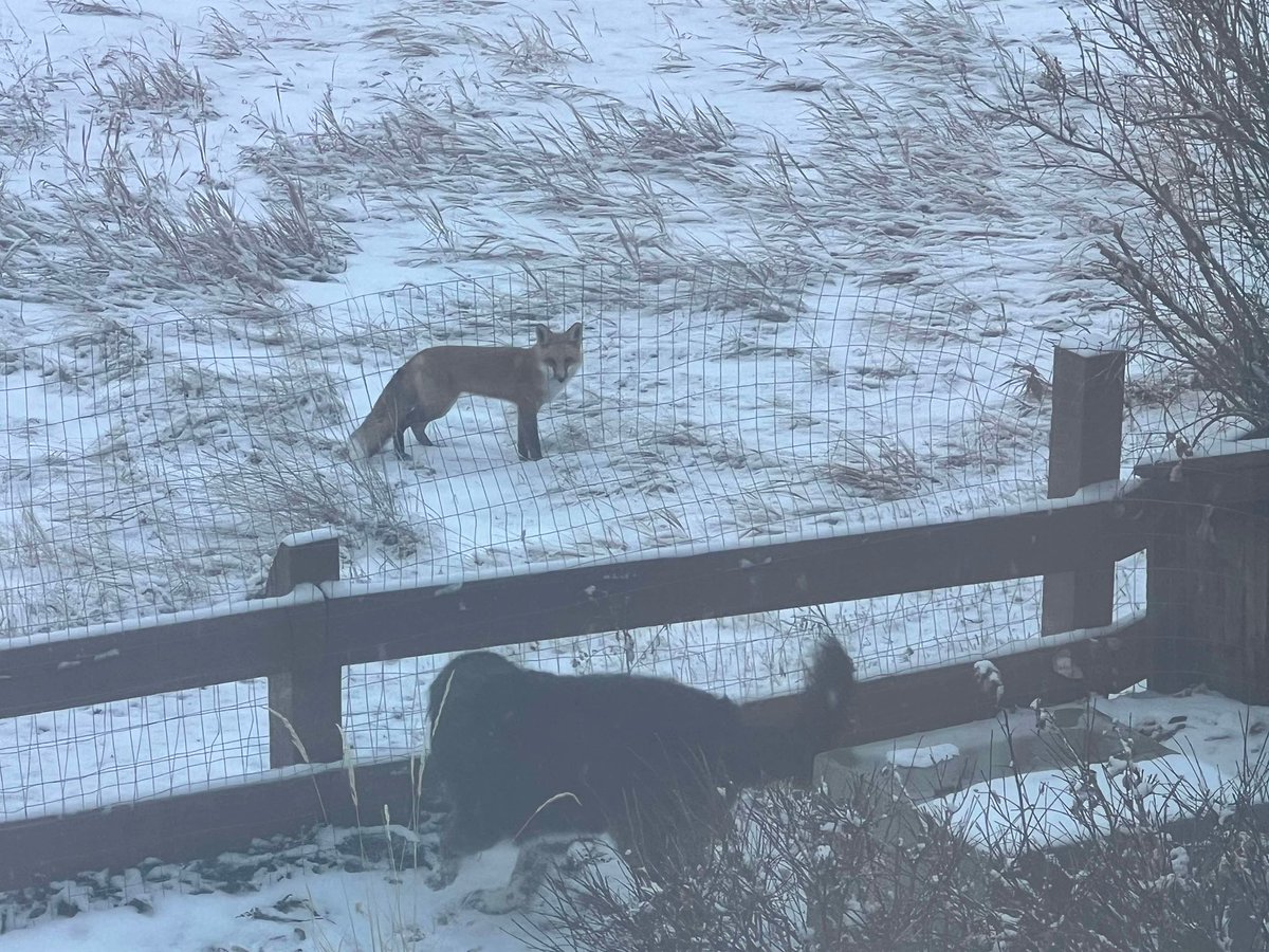 Jeffry Gerber, MD tweet media