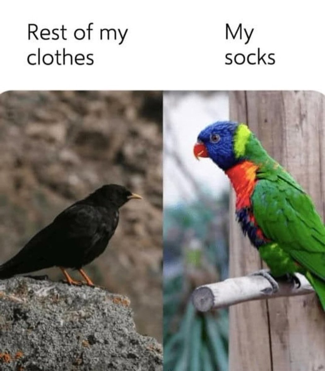 Lady Ñamgel~ tweet media