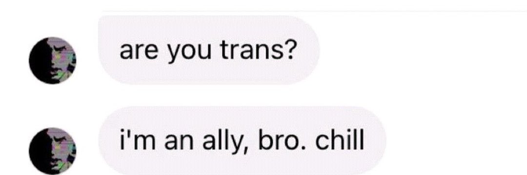casablancasfcbr's tweet photo. 🏆 TOP MELHORES MOMENTOS DO JULIAN CASABLANCAS NO INSTAGRAM

26° YOU’RE TRANS? I’M AN ALLY, BRO! — (14,3%) https://t.co/IeOzile3R4