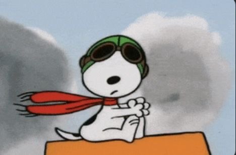Daily Snoopy tweet media