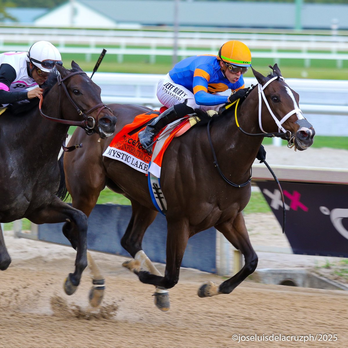 americanpaddock's tweet photo. MYSTIC LAKE (USA) impone condiciones en el Inside Information (G2) corrido sobre 1400 metros en la arena de @GulfstreamPark. Con @iradortiz en controles, la entrenada por @SaffieJosephJr superó a Emery.
📸: José Luis De La Cruz https://t.co/mBmMwdpguz