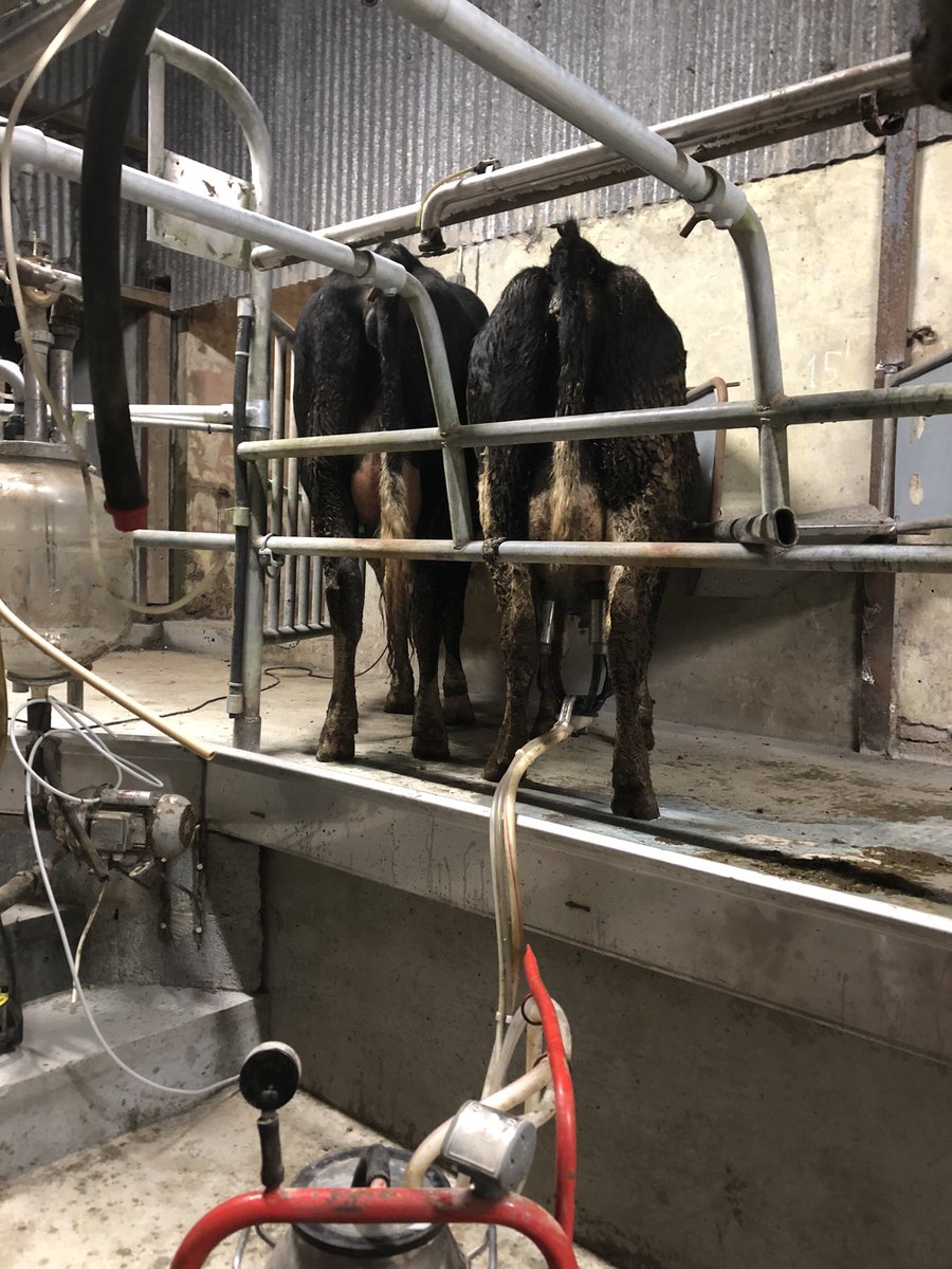 Kieran Sullivan tweet media