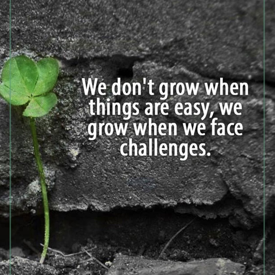 We don’t grow when things are easy, we grow when we face challenges

Image: instagram.com/mypositiveoutl…