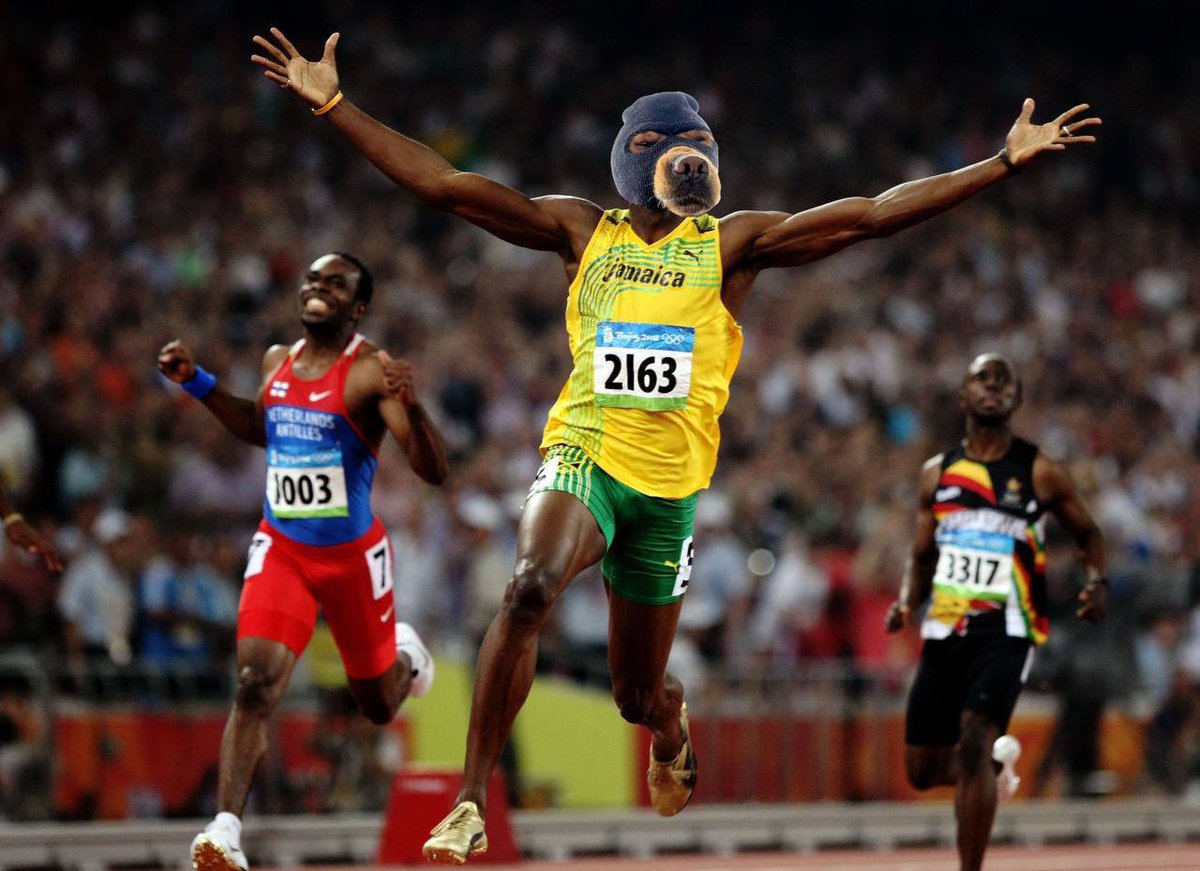 Ski Mask Dog tweet media