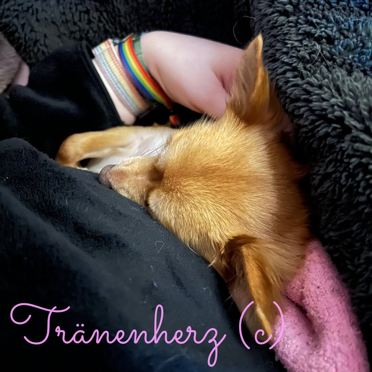 Ich tröste Mama. ❤️