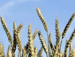 Arnaud Lemoine tweet media