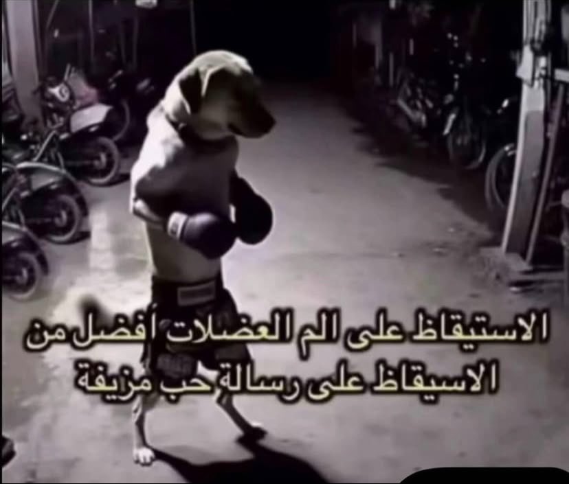 𝑰𝒅𝒌 (@maybelamarr) on Twitter photo 