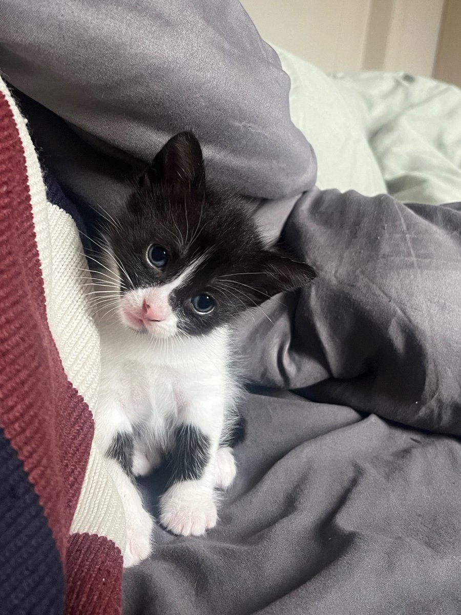 __gabssz__'s tweet photo. Mas esqueci que agora o importante de deixar aqui como recordação é que minha filha tem uma filha. https://t.co/OSeTOzSvil