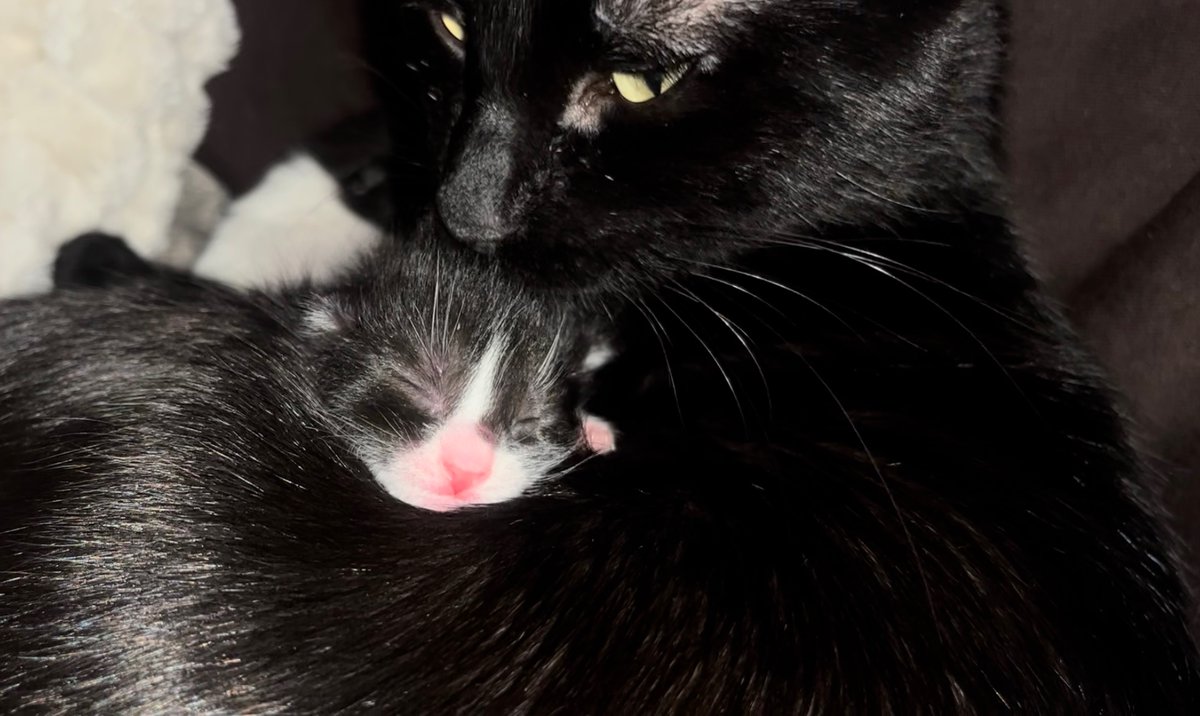 __gabssz__'s tweet photo. Mas esqueci que agora o importante de deixar aqui como recordação é que minha filha tem uma filha. https://t.co/OSeTOzSvil