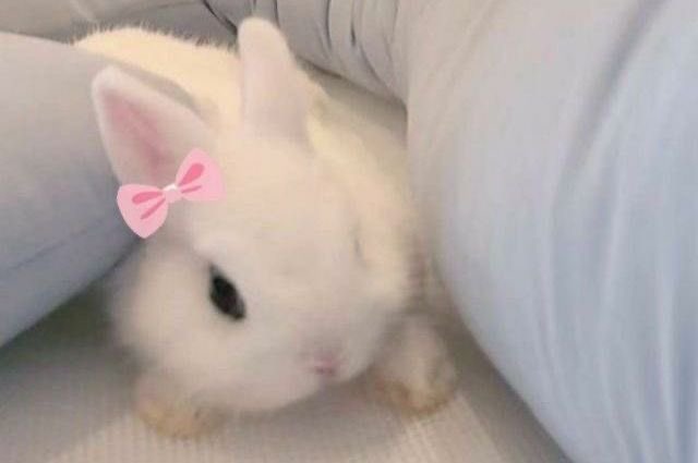 Bunnies's tweet photo. https://t.co/9KtQhIazZ0