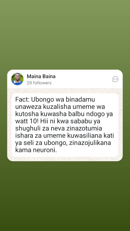 Maina Baina tweet media