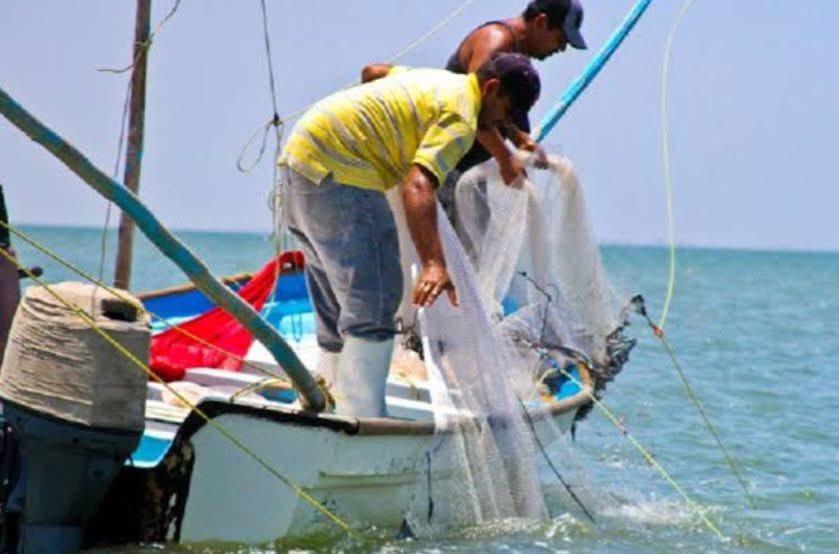 Feliz #DíaDelPescador! Reconocimiento a hombres y mujeres pioneros que han impulsado el crecimiento de Golfo de Santa Clara con su tesón y trabajo. Recordamos también a quienes ya no están con nosotros #Pescadores #GolfoDeSantaClara