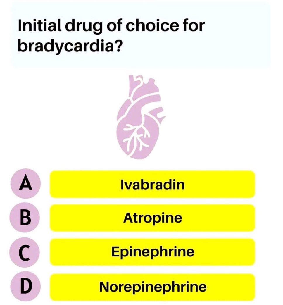 Dr Honey choudhary 🩺 tweet media