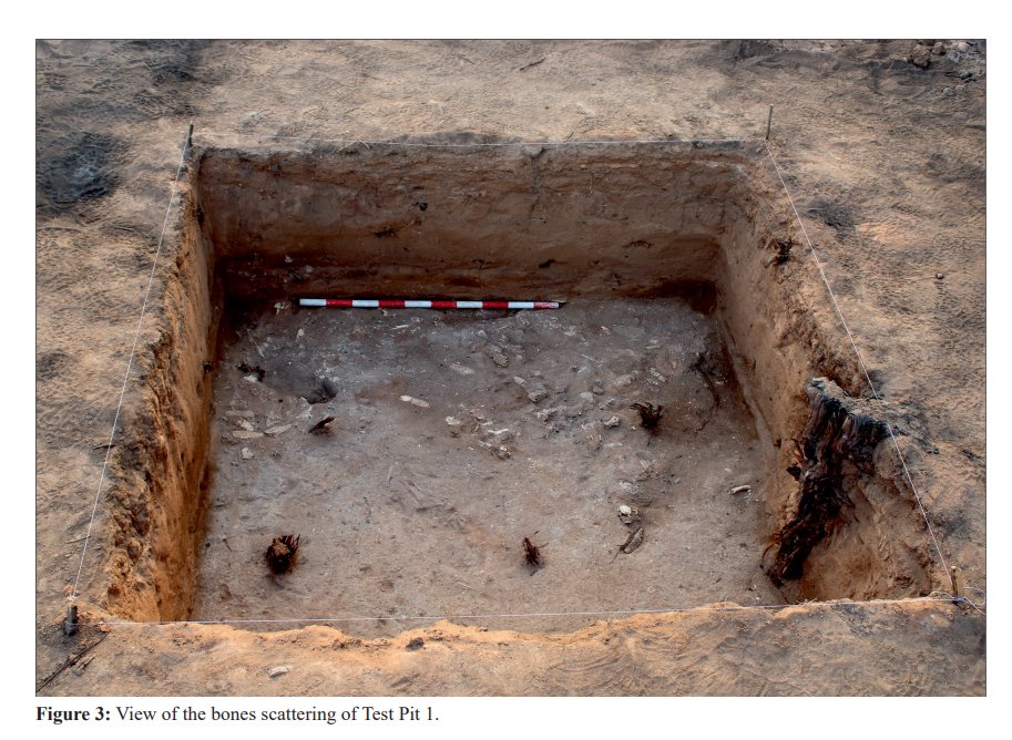 ADheegsan's tweet photo. The excavation of #Bulahar town conducted in 2017 and the findings primarily from the Turco-Egyptian &amp; British periods (1870s-1930s). Among these finds, some imports were traced back to the 18th century, &amp; a few sherds that could be attributed to the medieval period.
#Somaliland https://t.co/atSBcWlRxf