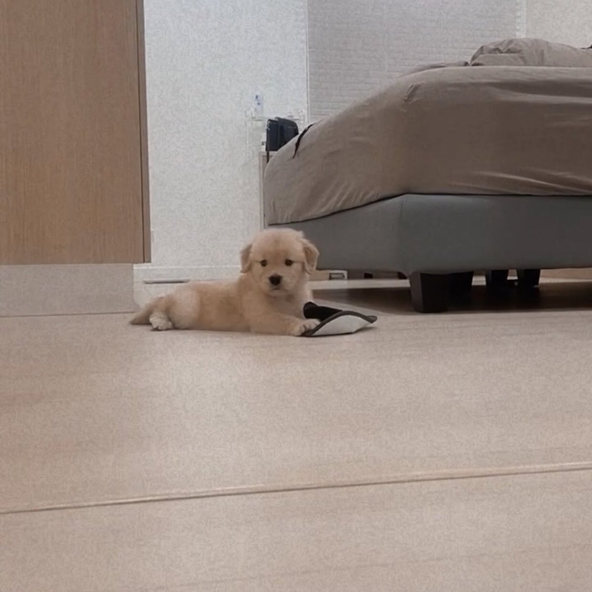 มะได้งอน นอนตุวเดวได้ พื้นแขงก้ไม่เปนไร ดีกว่านอนข้างคนหลายใจ