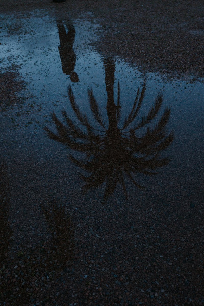 El punto filipino tweet media