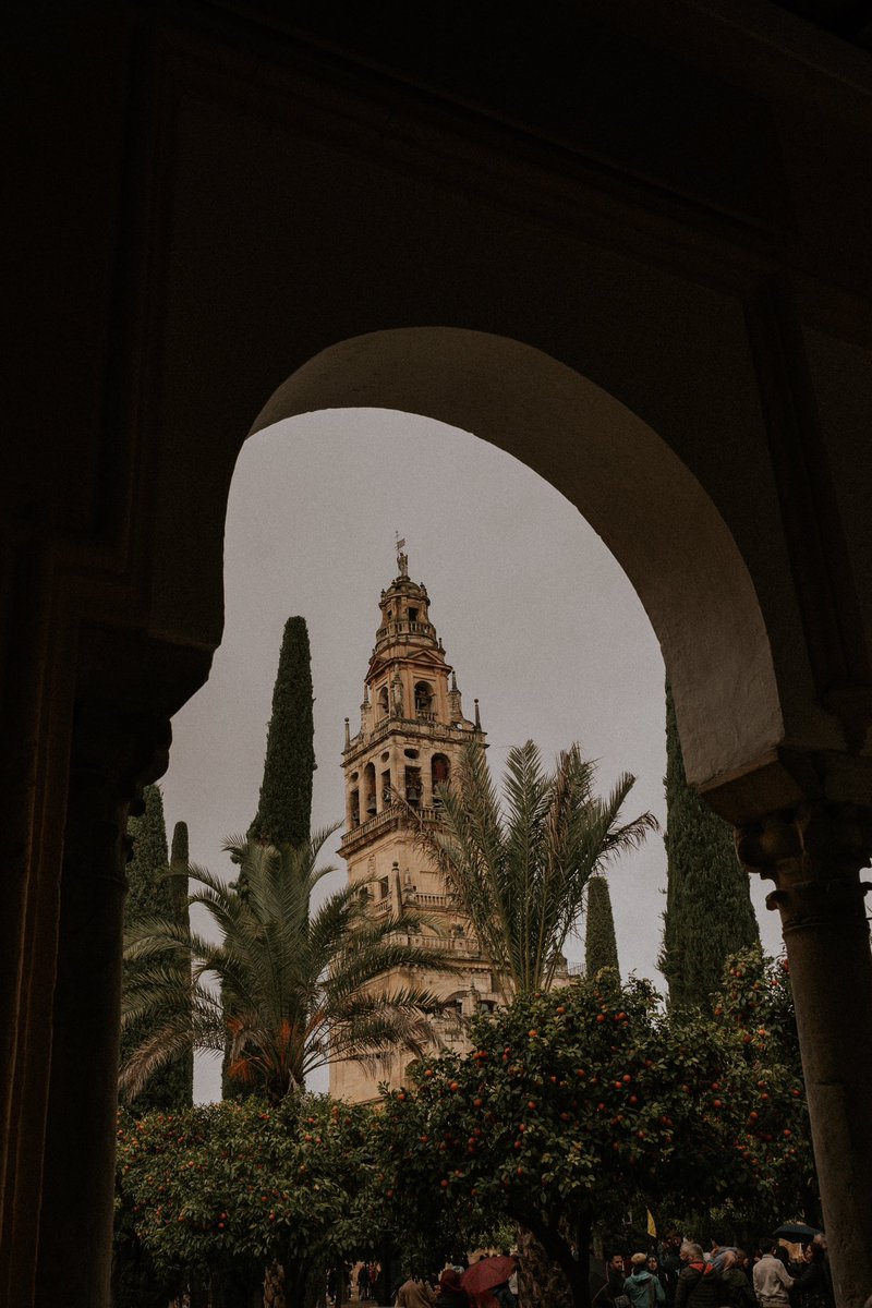 El punto filipino tweet media