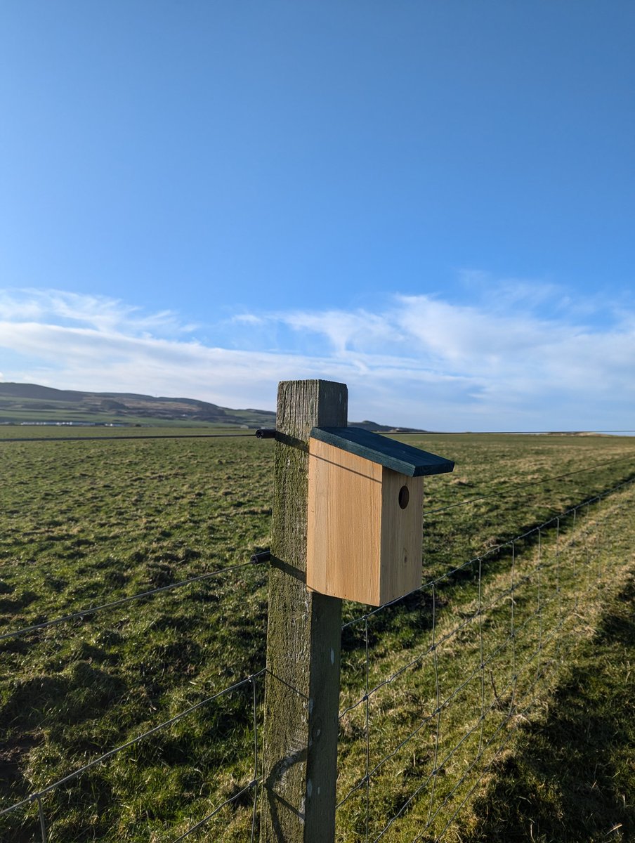 Alexander Pirie tweet media