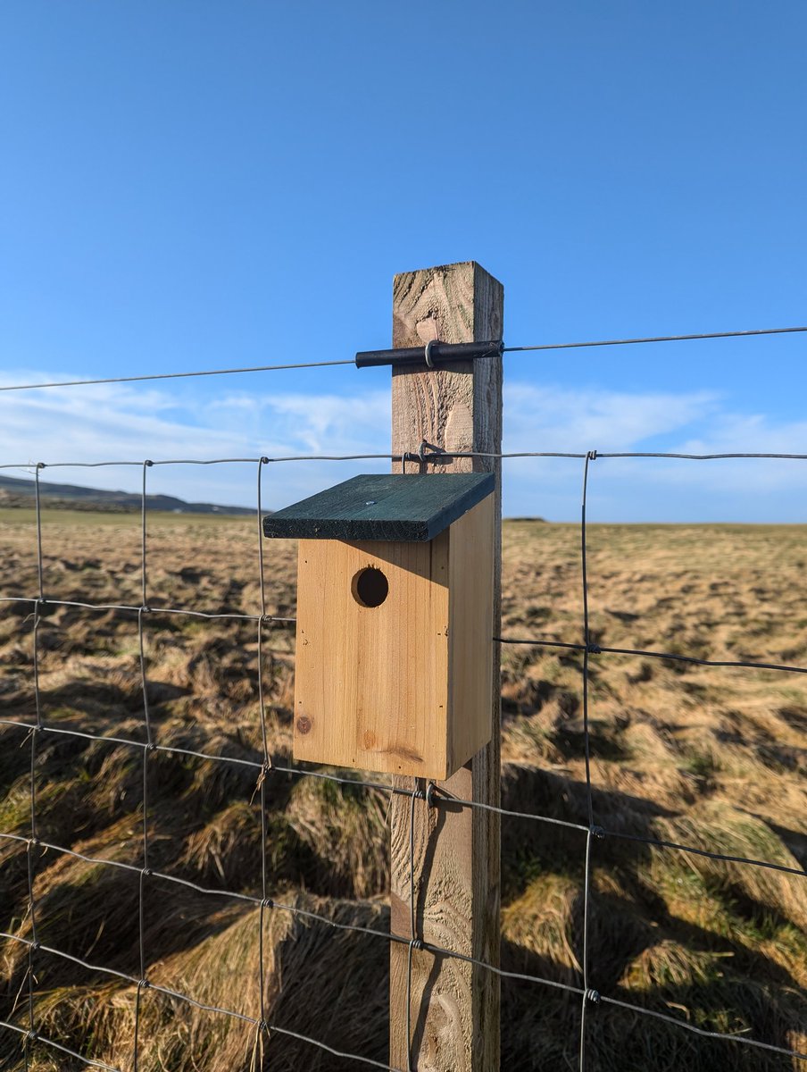 Alexander Pirie tweet media