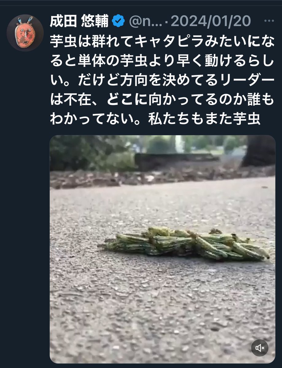 由美子🐰🌖🌎🪐💫 tweet media
