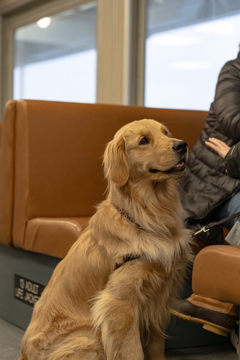 No Sunday scaries for this good boy. What’s everyone up to today?