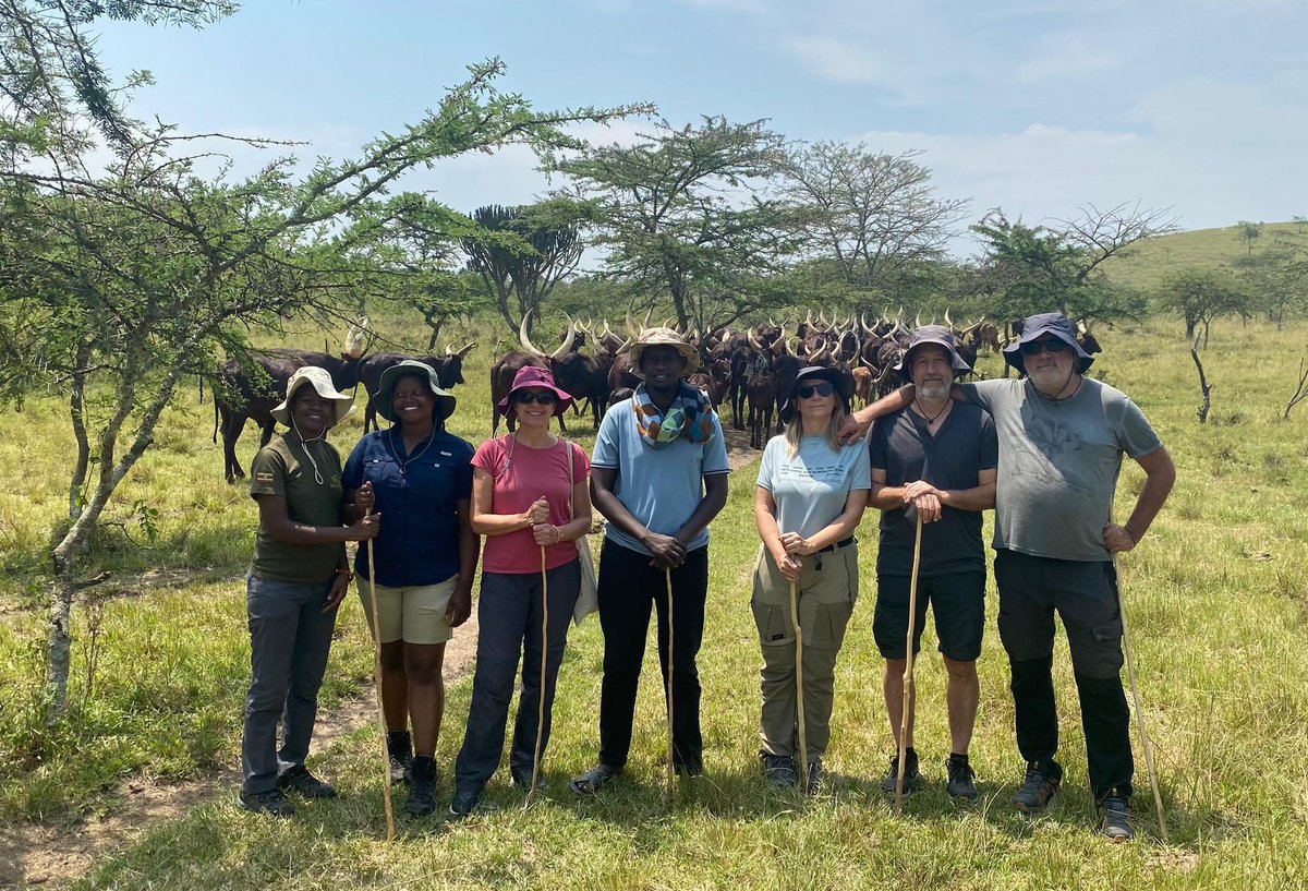 ankole_destin's tweet photo. Ankole cattle Experience.
#DestinationAnkole https://t.co/oDZyWZtwWU