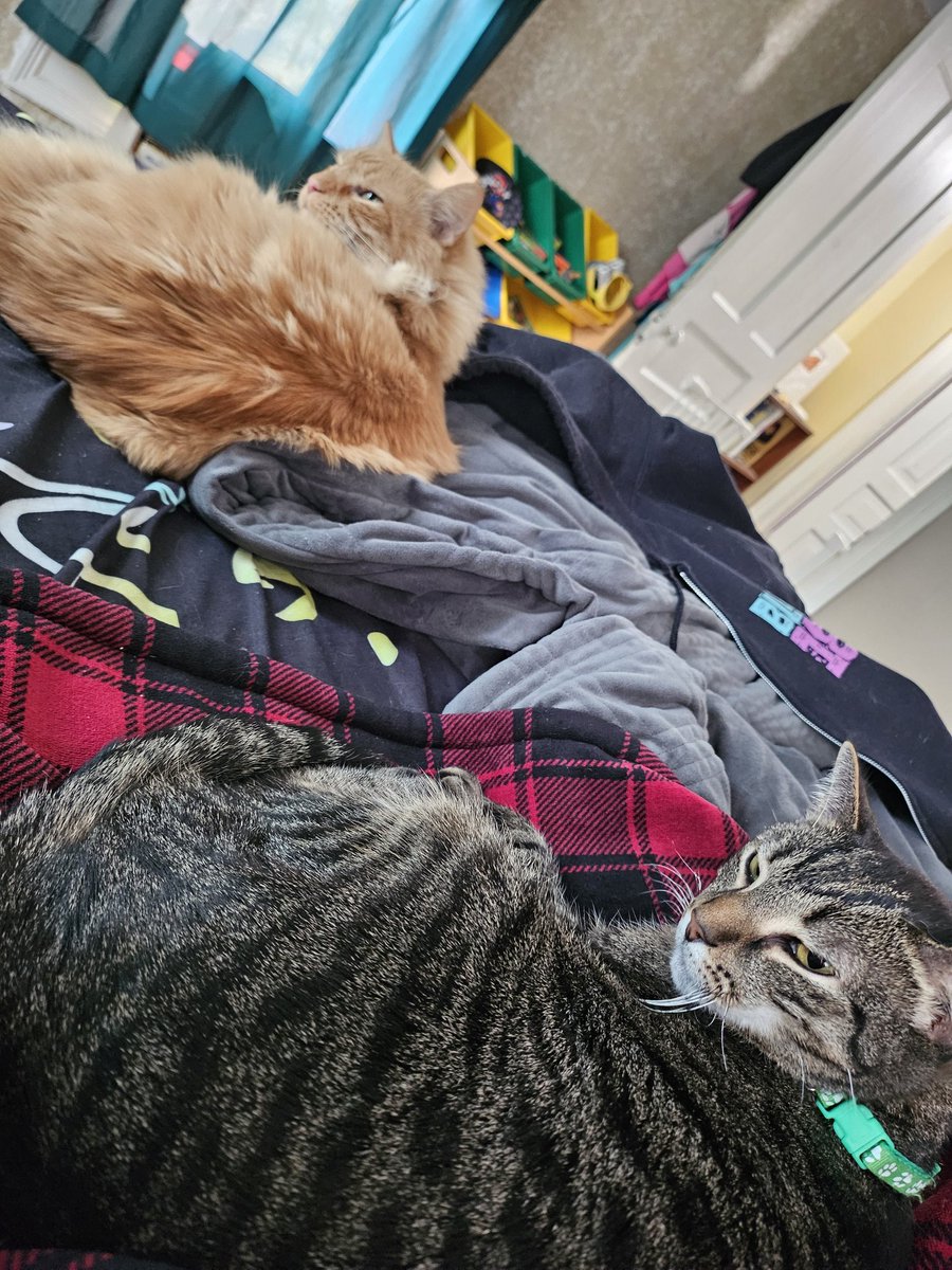 ꩇׁׅ݊ꭈׁׅ꯱ׁׅ֒. ꭈׁׅꫀׁׅܻժׁׅ݊⨍ꪱׁׅꫀׁׅܻᥣׁׅ֪ժׁׅ݊ tweet media