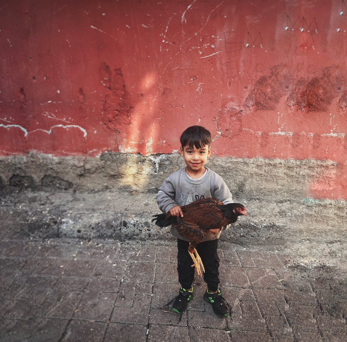 Nurcan Ercan (@jidilll) on Twitter photo 