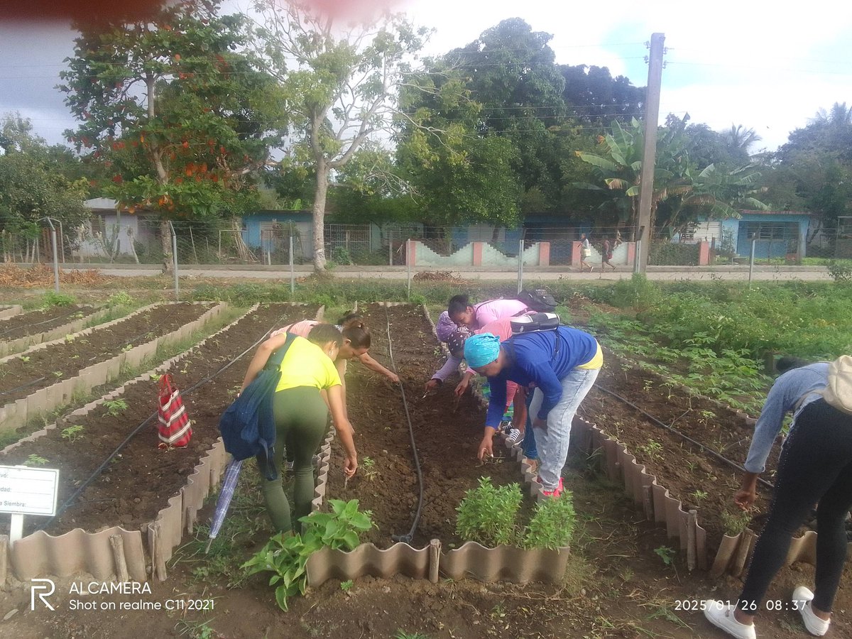 Todos unidos en el día de la defensa con el fin de aportar en la producción de alimentos nuestra institución al pie de combate <a href="/AleidaSuarezSa2/">Aleida Suarez Sanchez</a> <a href="/CubaMined/">MINED</a> <a href="/DiazCanelB/">Miguel Díaz-Canel Bermúdez</a> <a href="/PlutinArgelio/">Argelio Plutin</a> <a href="/dpestgo/">DGE Santiago de Cuba</a> <a href="/dme2frente/">DME - Segundo Frente</a> <a href="/jorge_pisonero/">Jorge Carlos Pisonero González</a> <a href="/FundichelyRosa/">Rosa Álvarez Fundichely</a> #primerainfanciaimporta