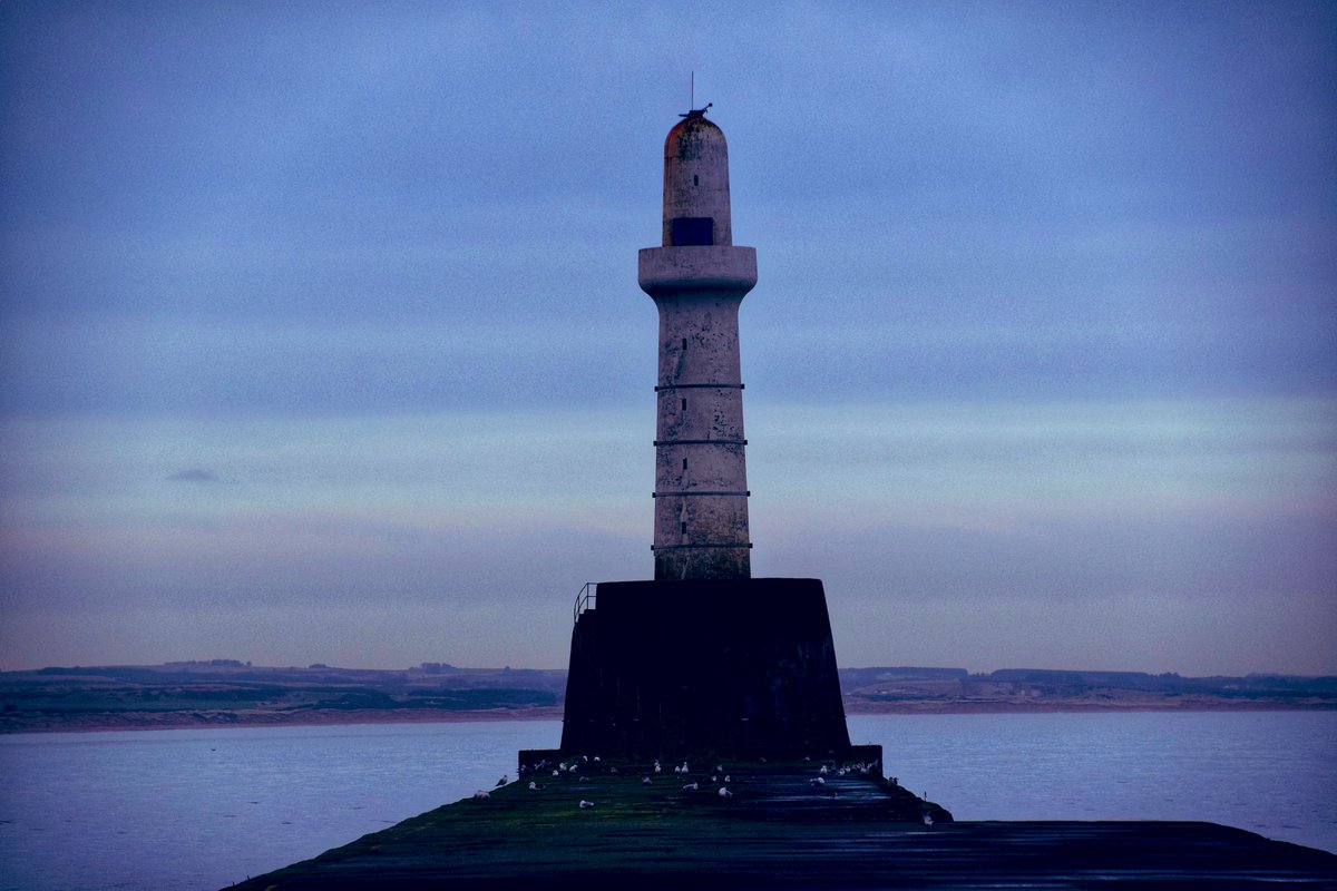 Natalie Hood tweet media