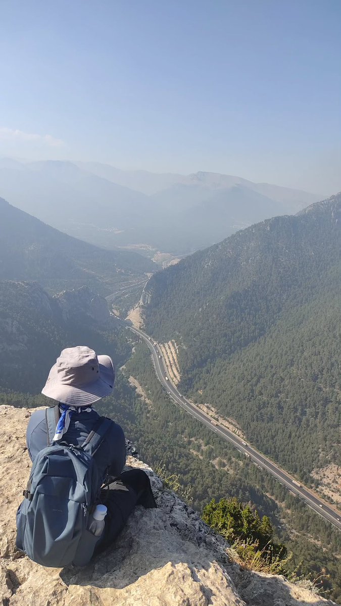 𝐏𝐚𝐫𝐚𝐦𝐞𝐝𝐢𝐜 tweet media