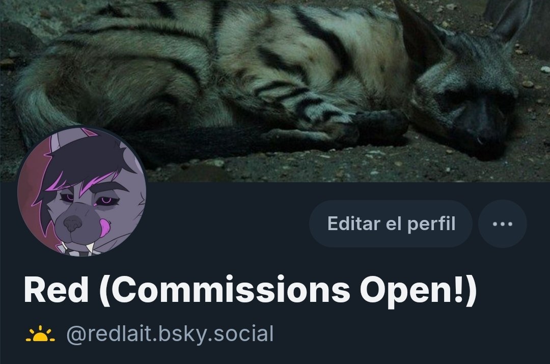 I opened a profile on Bluesky because, why not?