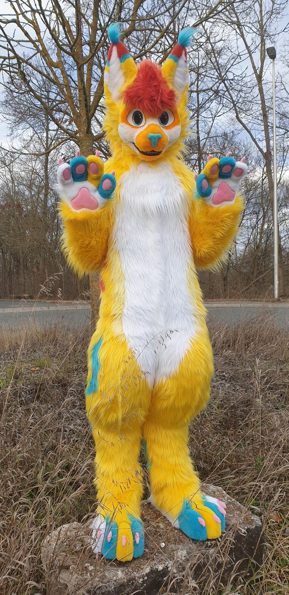 Heute war Abholtag und Fotoshooting vom <a href="/Phynnax/">Phynnax</a> dem Luchs. Wir hatten Glück mit dem Wetter und es hat Spaß gemacht. Phynnax viel Freude mit deiner Yellow Cat🐈
#Fursuit #cat #Fursuitmaker #furries #furryfandom #ilovemyjob