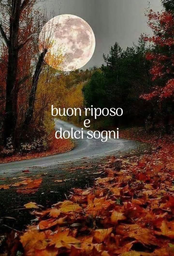 RITABIANCHi56 tweet media