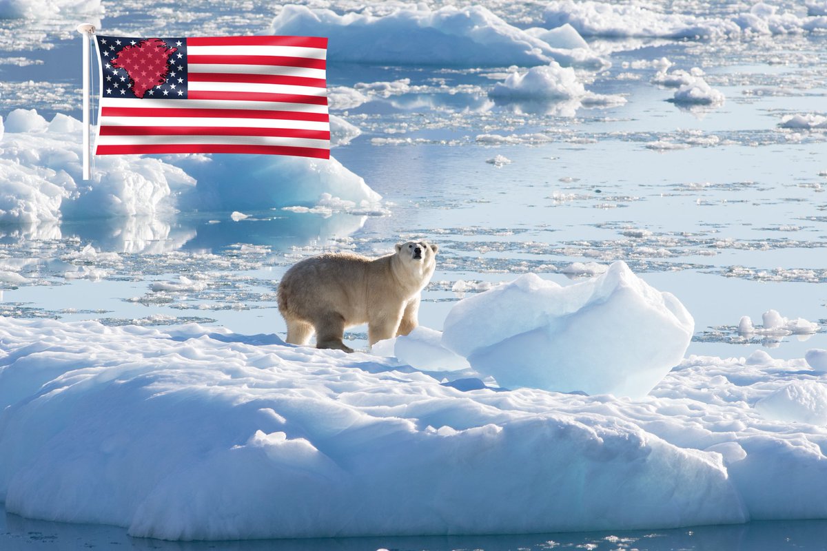 sol_greenland's tweet photo. $GRNLD TEAM CONDUCTED A SOCIOLOGICAL SURVEY AMONG WHITE BEARS IN GREENLAND. 

ACCORDING TO THE RESULTS, 100% OF THEM WANT TO JOIN USA.

🇺🇸SAVE GREENLAND, SAVE THE BEARS. 🇺🇸 https://t.co/oX2MVmuC9Z