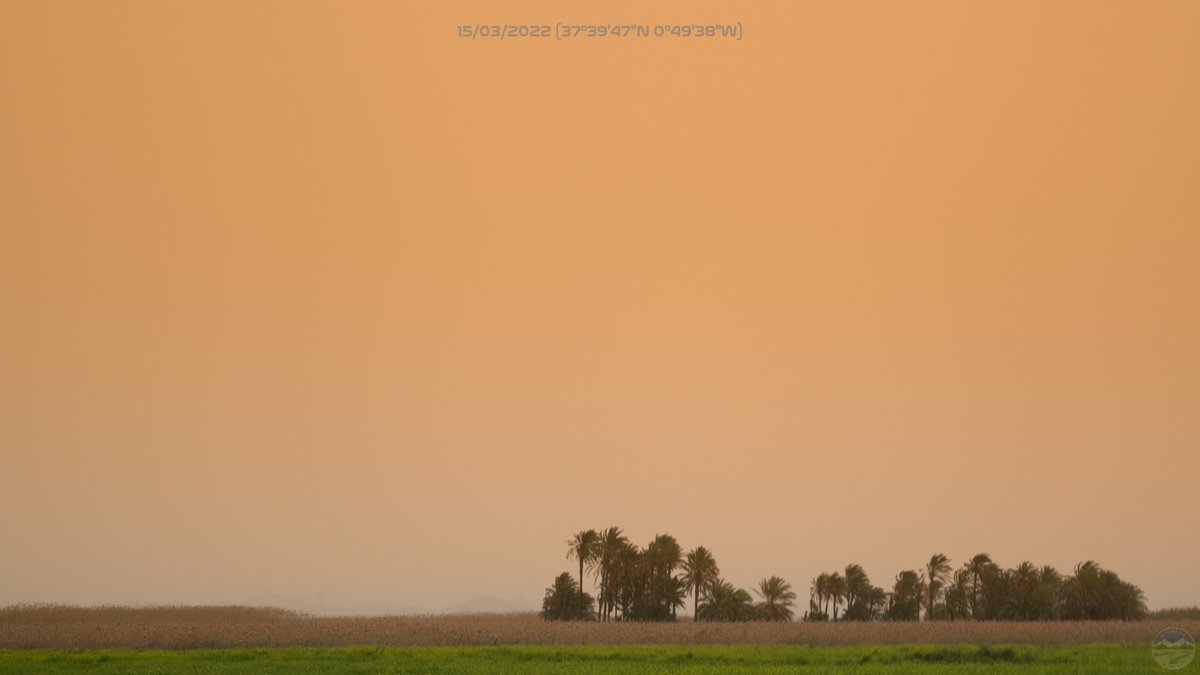Esa molesta calima que con frecuencia nos invade en el sureste no es solo polvo sin más, es uno de los ciclos más cruciales para que tengas oxígeno que respirar.

El #SuresteOffTopic de hoy viene con un hilo que te hará comprender la brutal complejidad detrás de que tus pulmones
