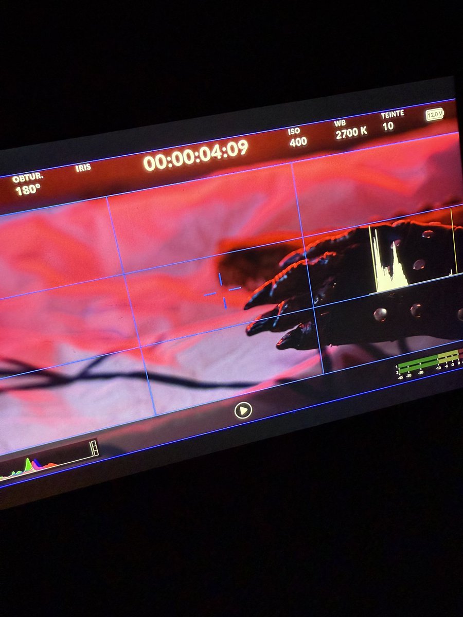 VanillaPictures's tweet photo. Jour #3 // « NETFREAKS »
•
#screenplay #shortfilm #drama #acteur #actrices #courtmetrage #scenario #tournage #bmpcc6k #rode #djirs2 #nanlite #netfreaks #saintmaurdesfmssés https://t.co/aqNCIBQf2I