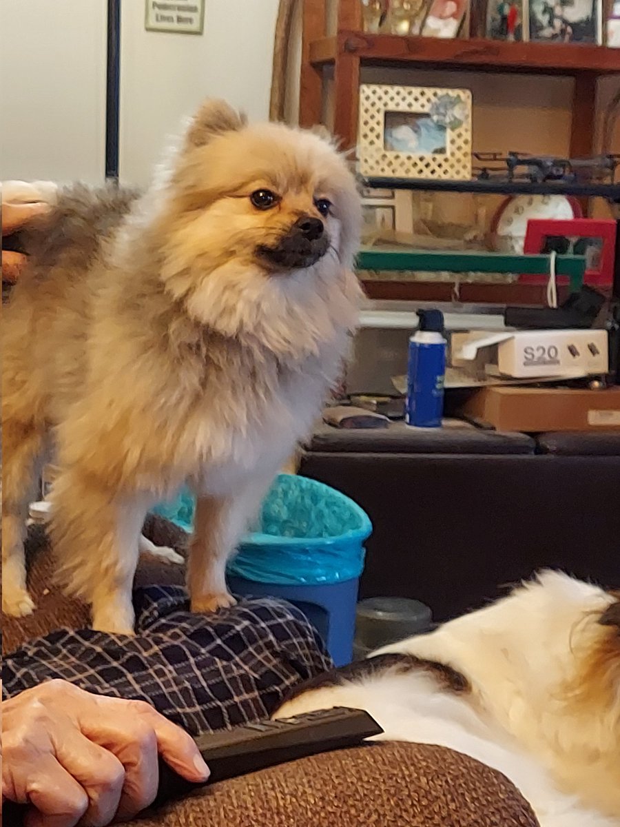 BlueTexas 💔💔 tweet media