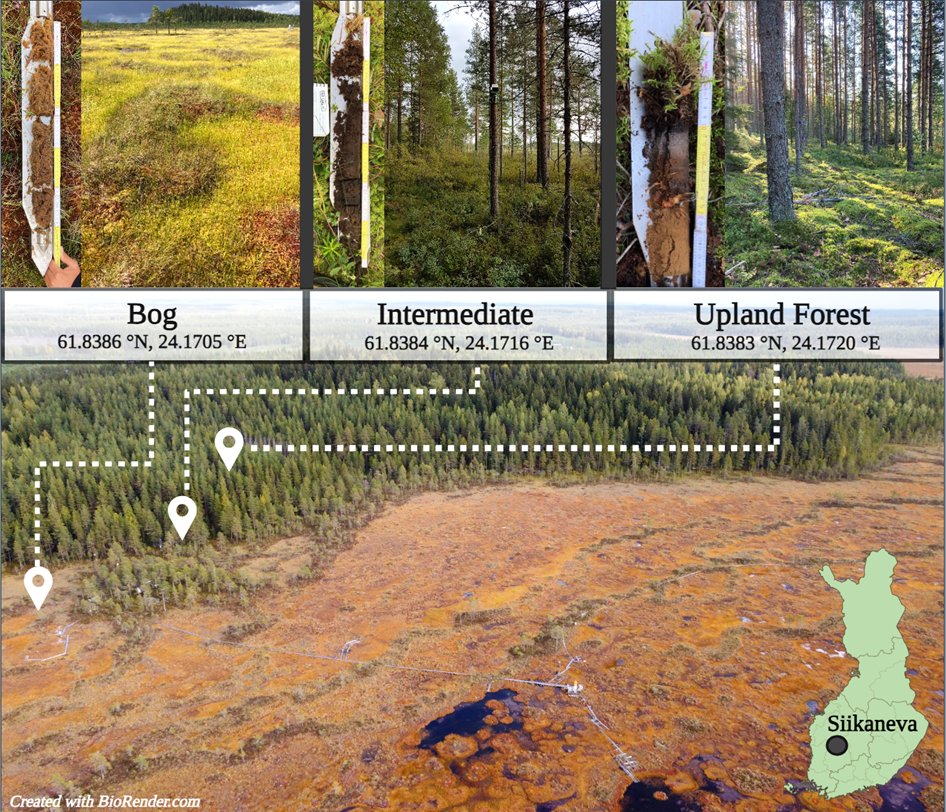 Boreal Environment Research tweet media