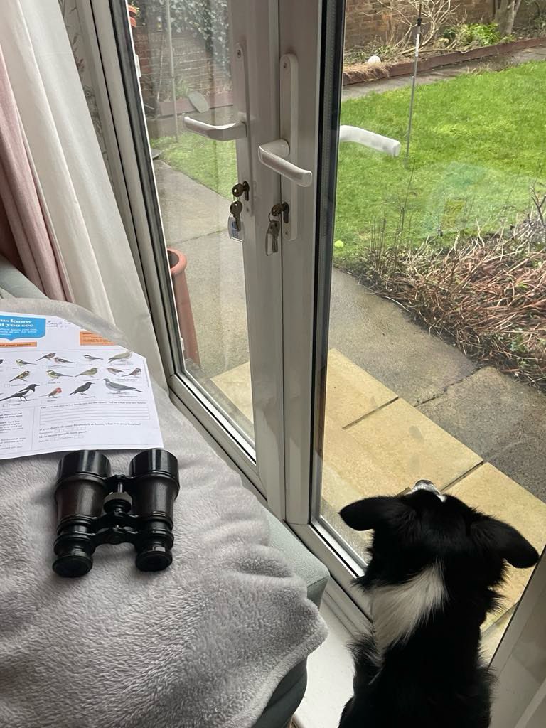 Emma Broadbent tweet media