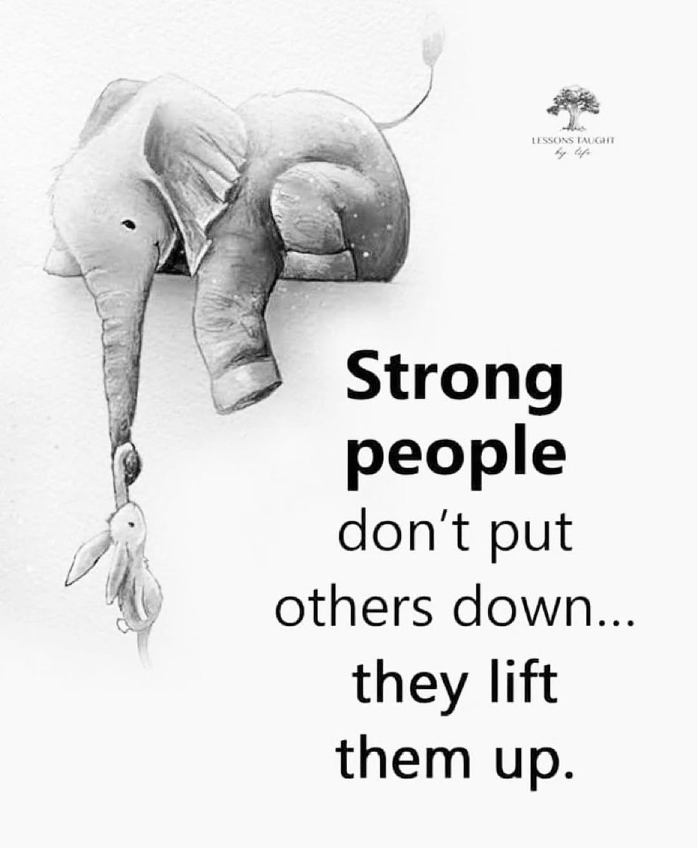 Mind_Essentials's tweet photo. https://t.co/O9gBje7Ald