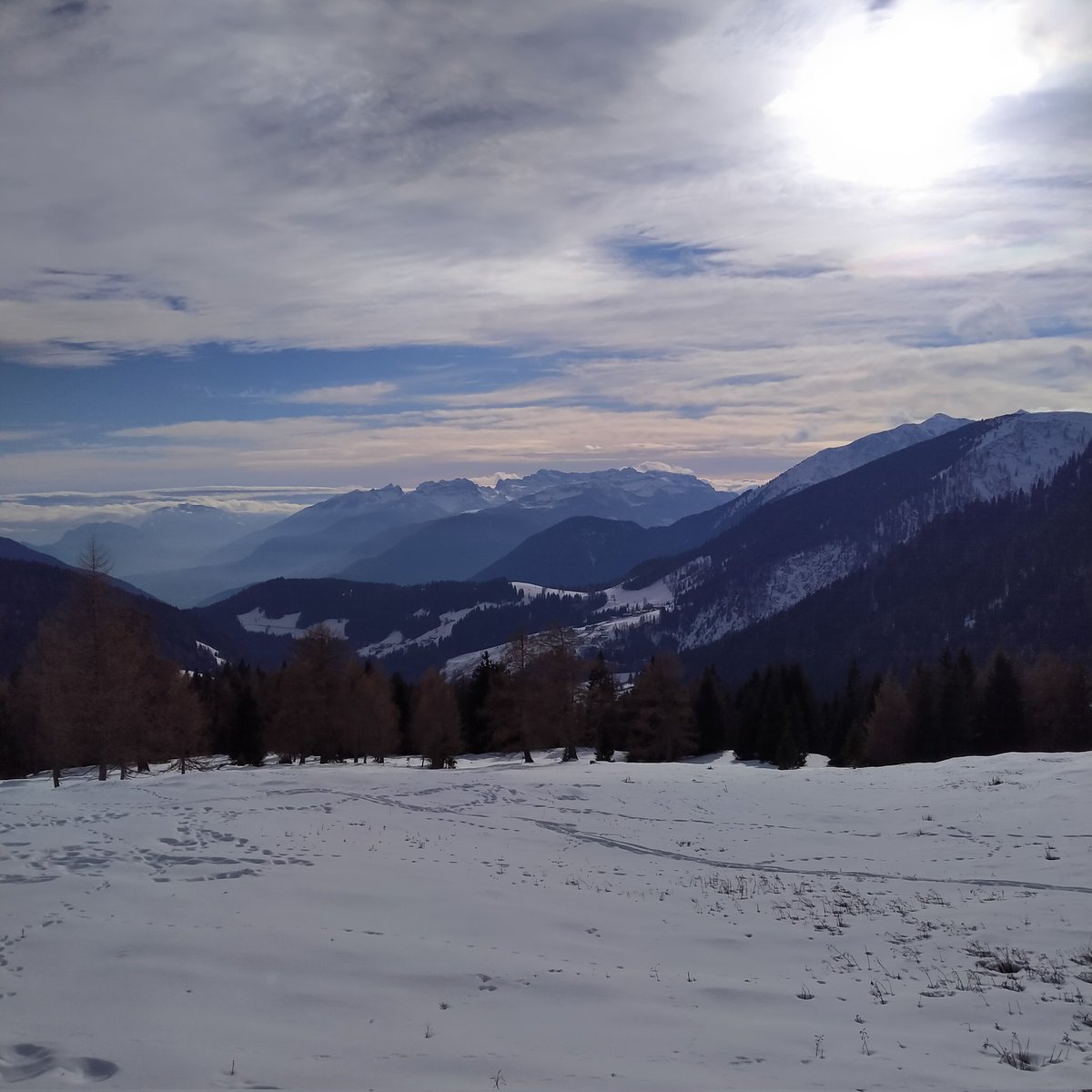 eli_endrizzi's tweet image. Giro delle malghe a monte di #proves