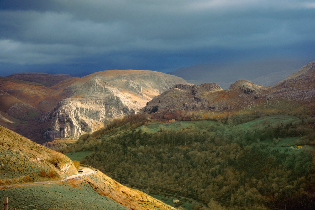 Samantha Cavet tweet media