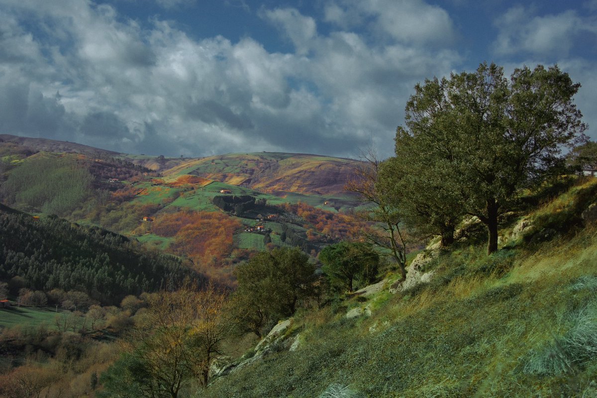 Samantha Cavet tweet media